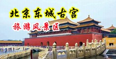 插入嫩穴视频中国北京-东城古宫旅游风景区